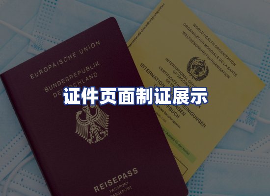 证件页面制证展示